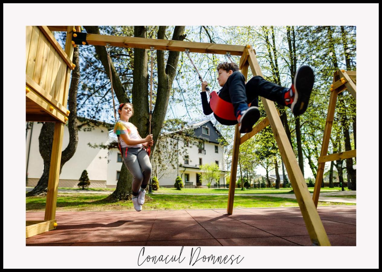 Отель Conacul Domnesc Шкея Экстерьер фото