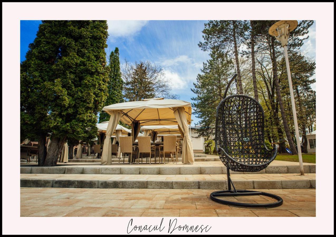 Отель Conacul Domnesc Шкея Экстерьер фото