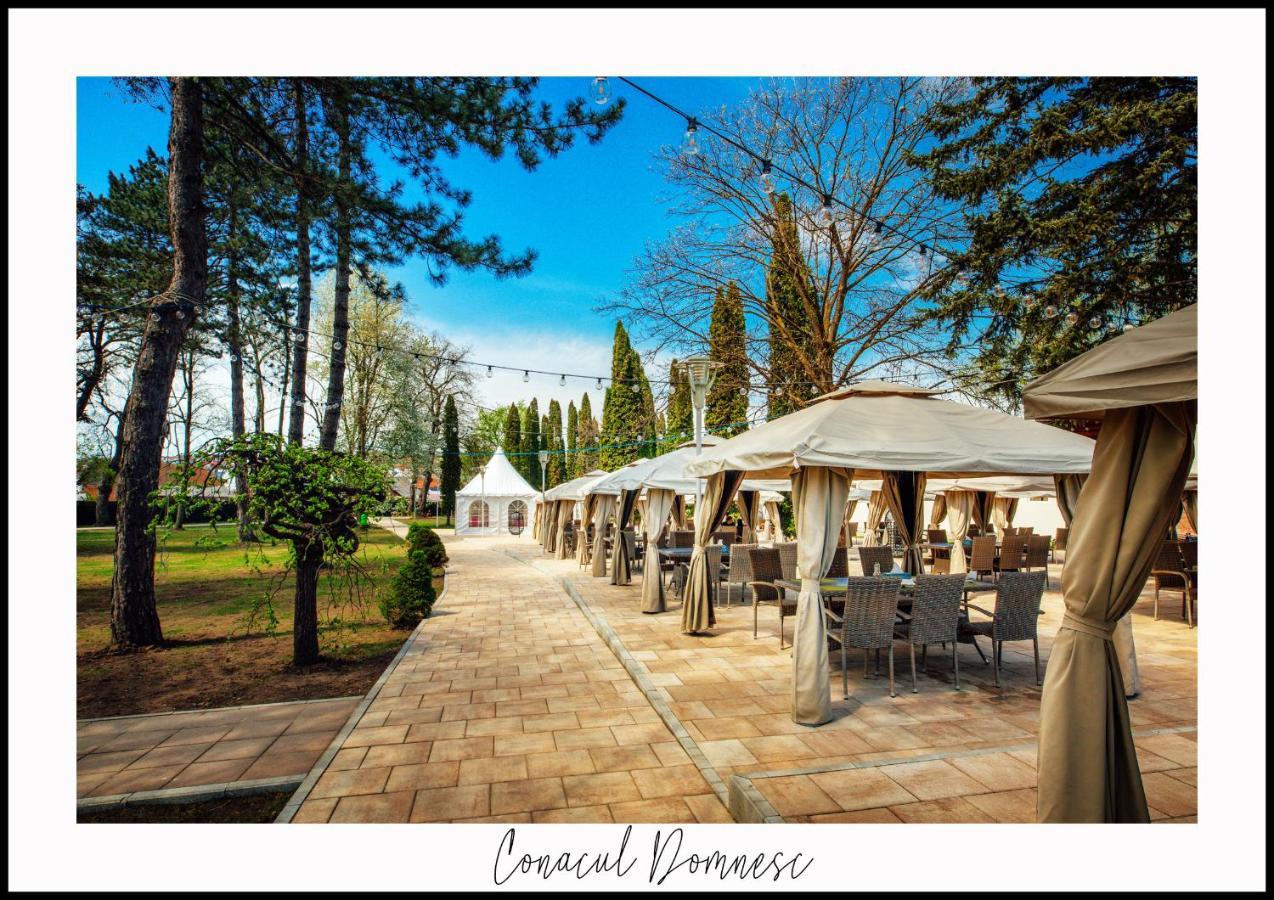 Отель Conacul Domnesc Шкея Экстерьер фото